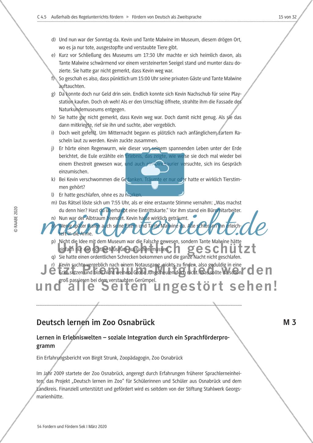Deutsch als Zweitsprache Preview 15