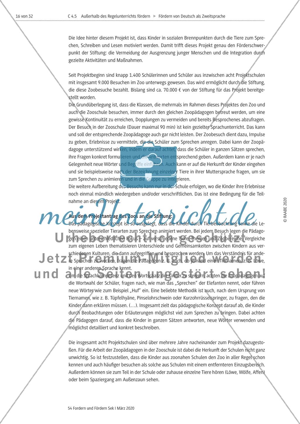 Deutsch als Zweitsprache Preview 16