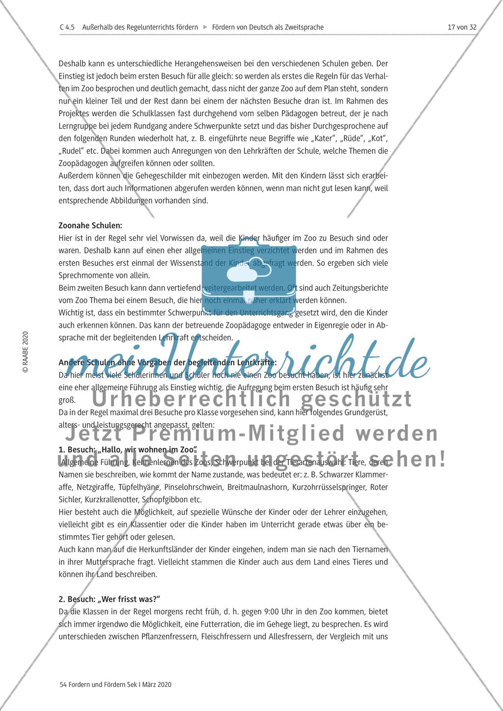Deutsch als Zweitsprache Preview 17