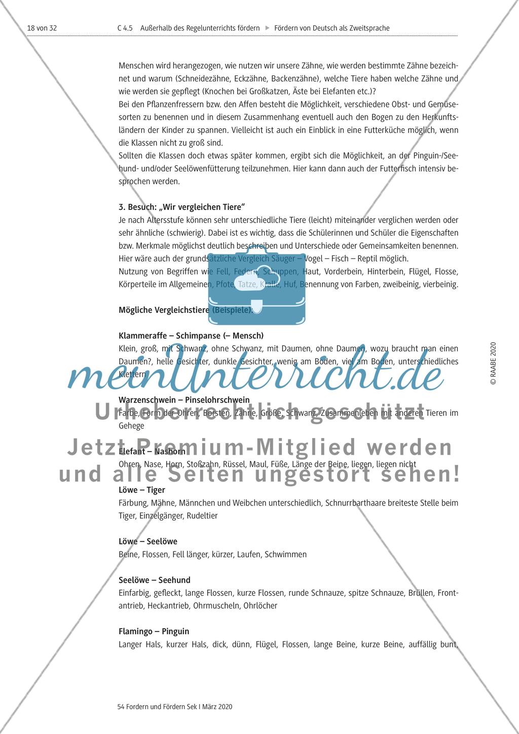 Deutsch als Zweitsprache Preview 18