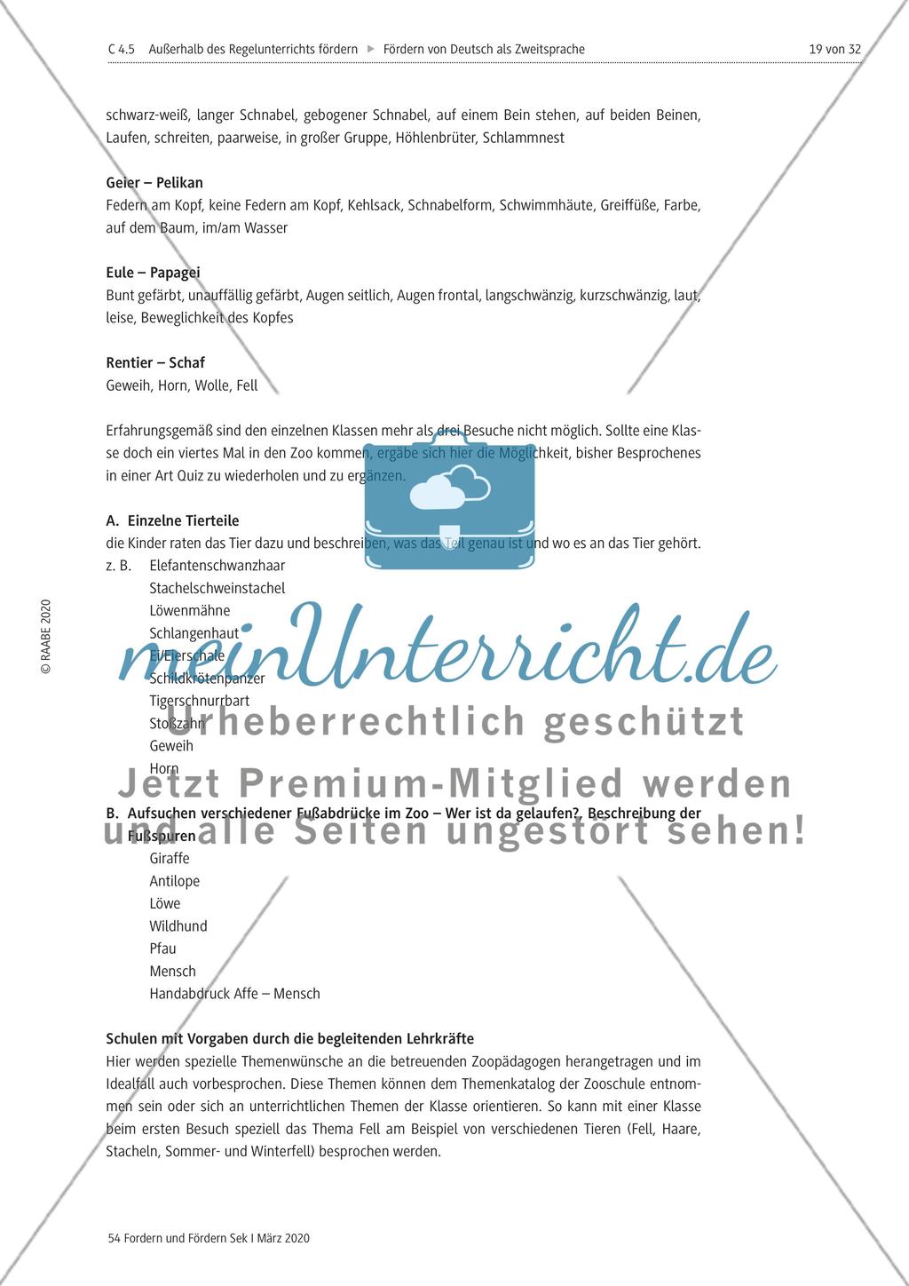 Deutsch als Zweitsprache Preview 19