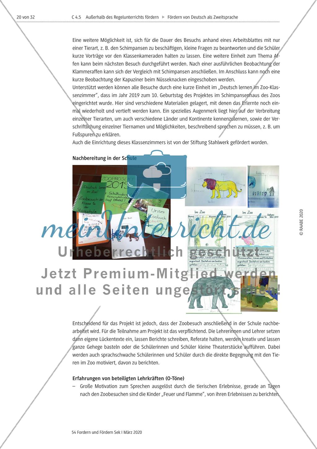 Deutsch als Zweitsprache Preview 20