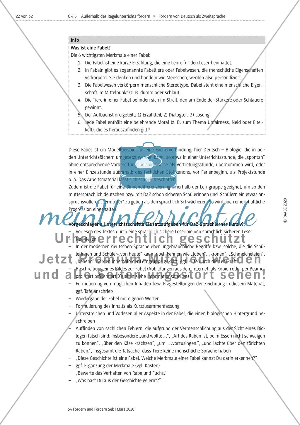 Deutsch als Zweitsprache Preview 22