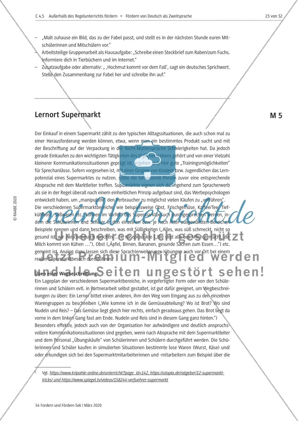 Deutsch als Zweitsprache Preview 23