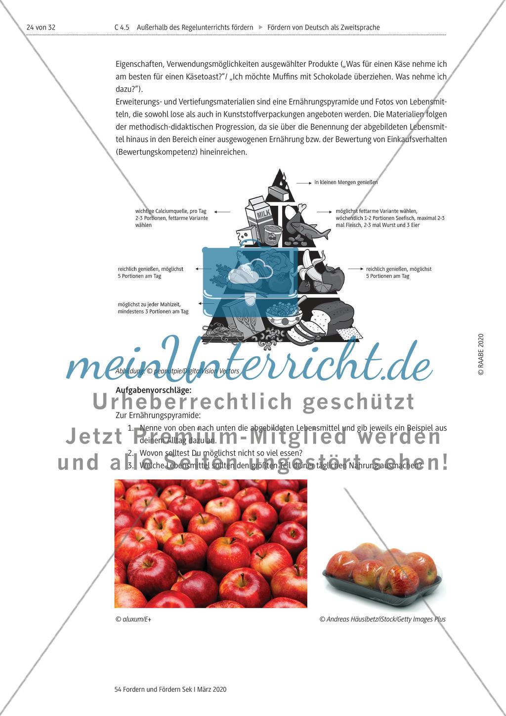 Deutsch als Zweitsprache Preview 24