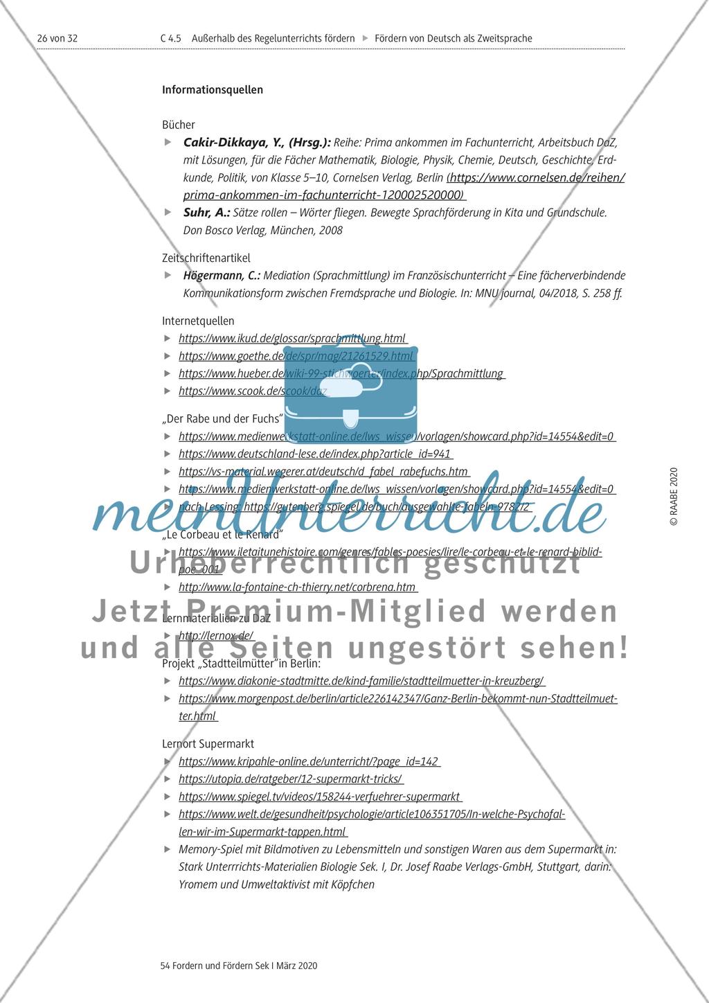 Deutsch als Zweitsprache Preview 26