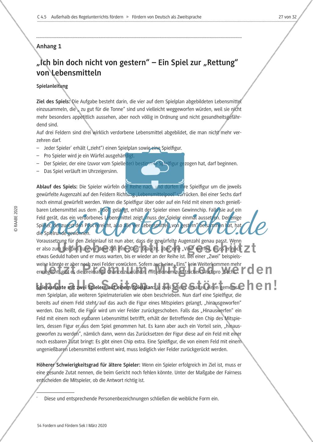 Deutsch als Zweitsprache Preview 27