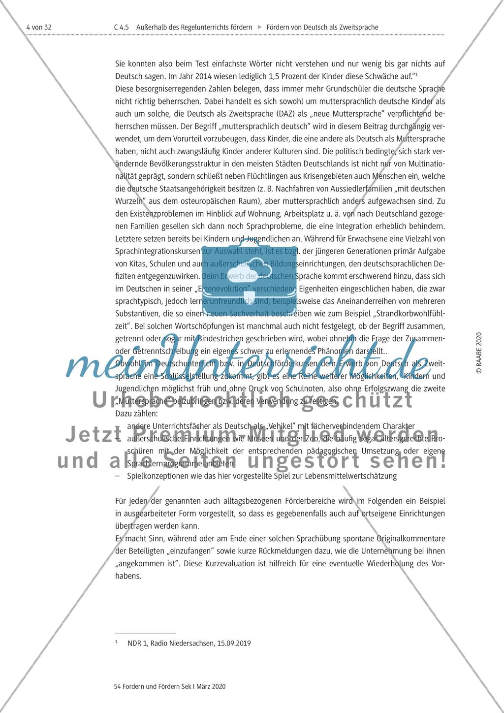 Deutsch als Zweitsprache Preview 4