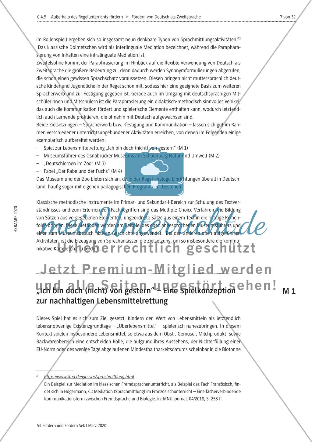 Deutsch als Zweitsprache Preview 7