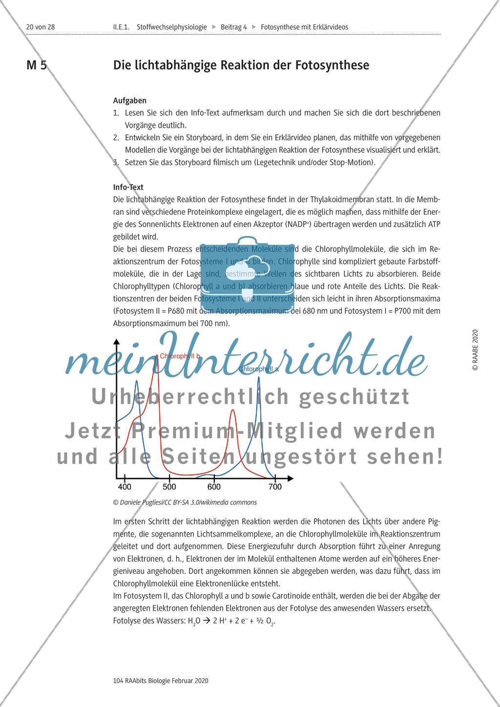 Das Storyboard zur lichtabhängigen bzw. lichtunabhängigen Reaktion der Fotosynthese Preview 1