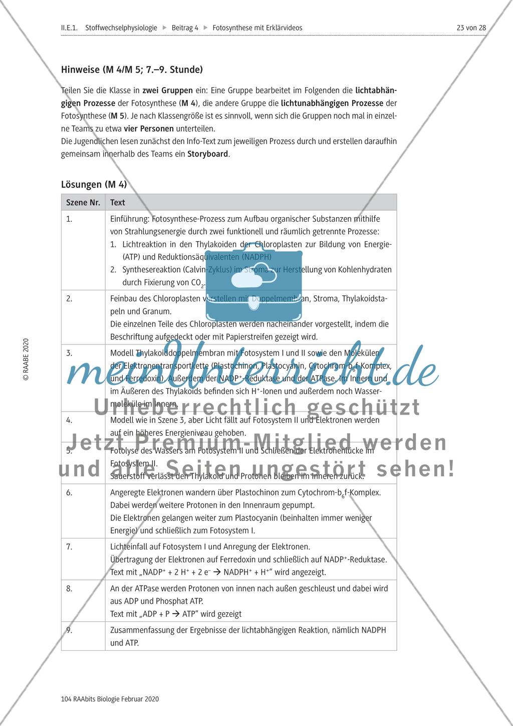 Das Storyboard zur lichtabhängigen bzw. lichtunabhängigen Reaktion der Fotosynthese Preview 4