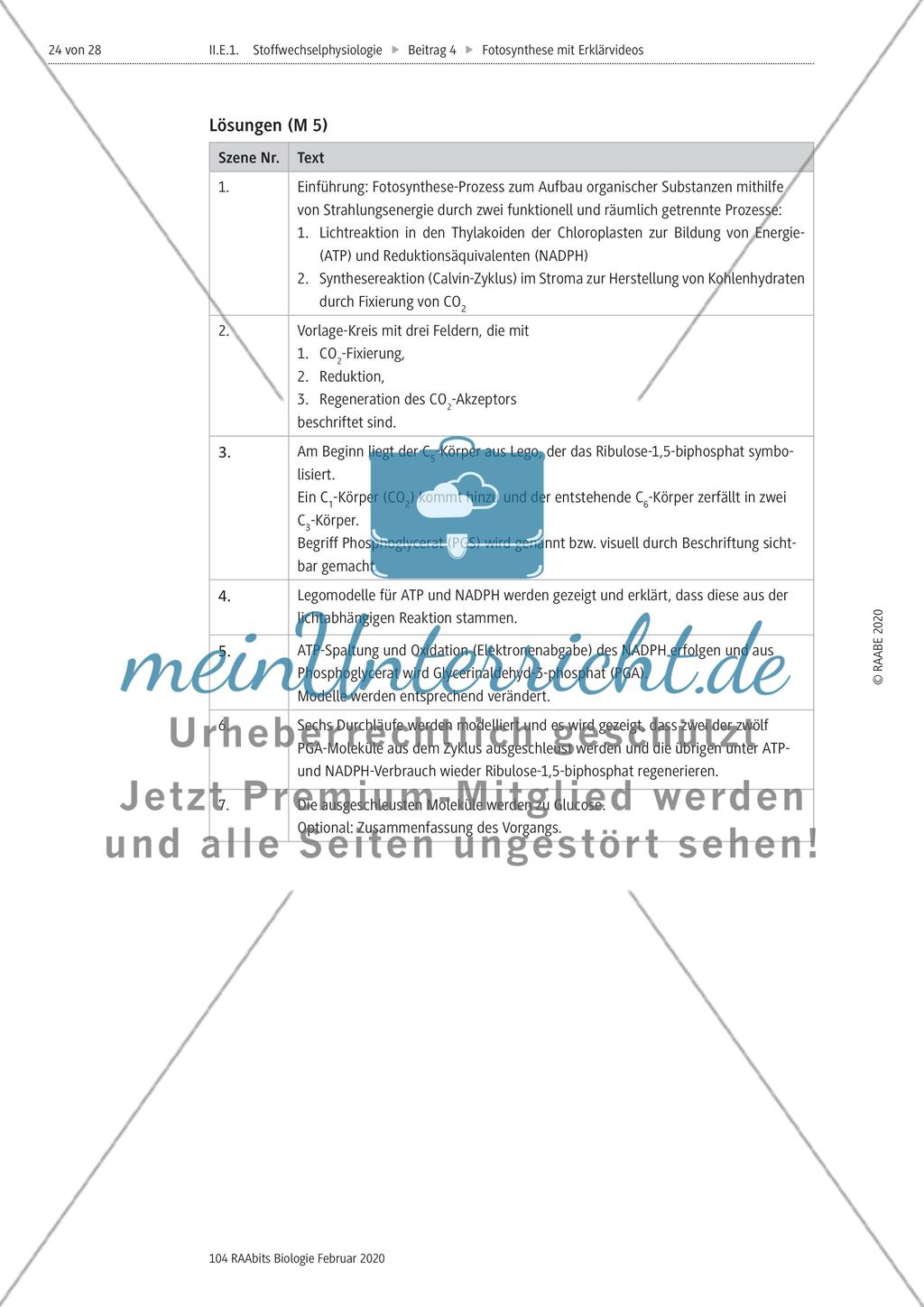 Das Storyboard zur lichtabhängigen bzw. lichtunabhängigen Reaktion der Fotosynthese Preview 5