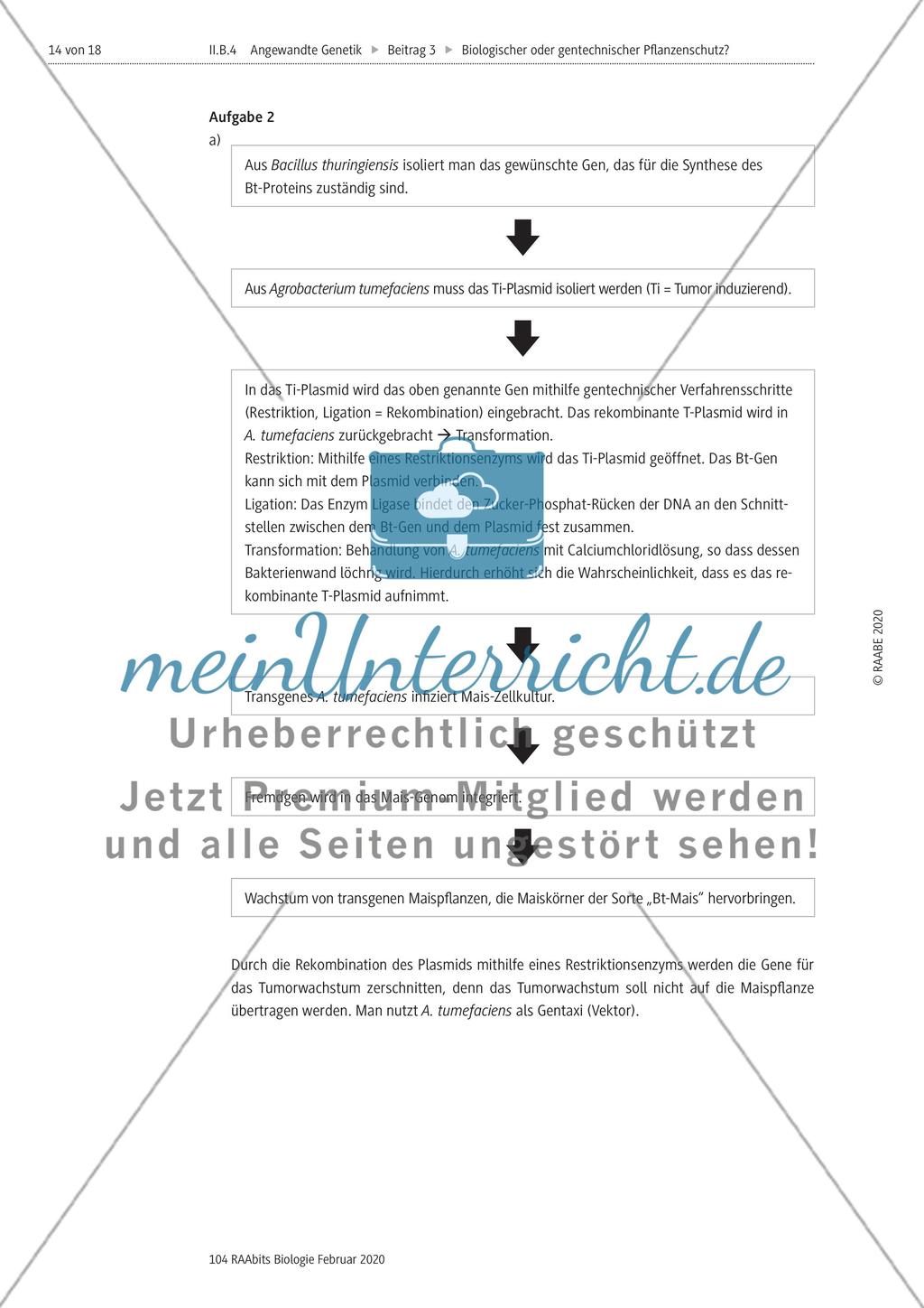 Biologischer oder gentechnischer Pflanzenschutz? Preview 14