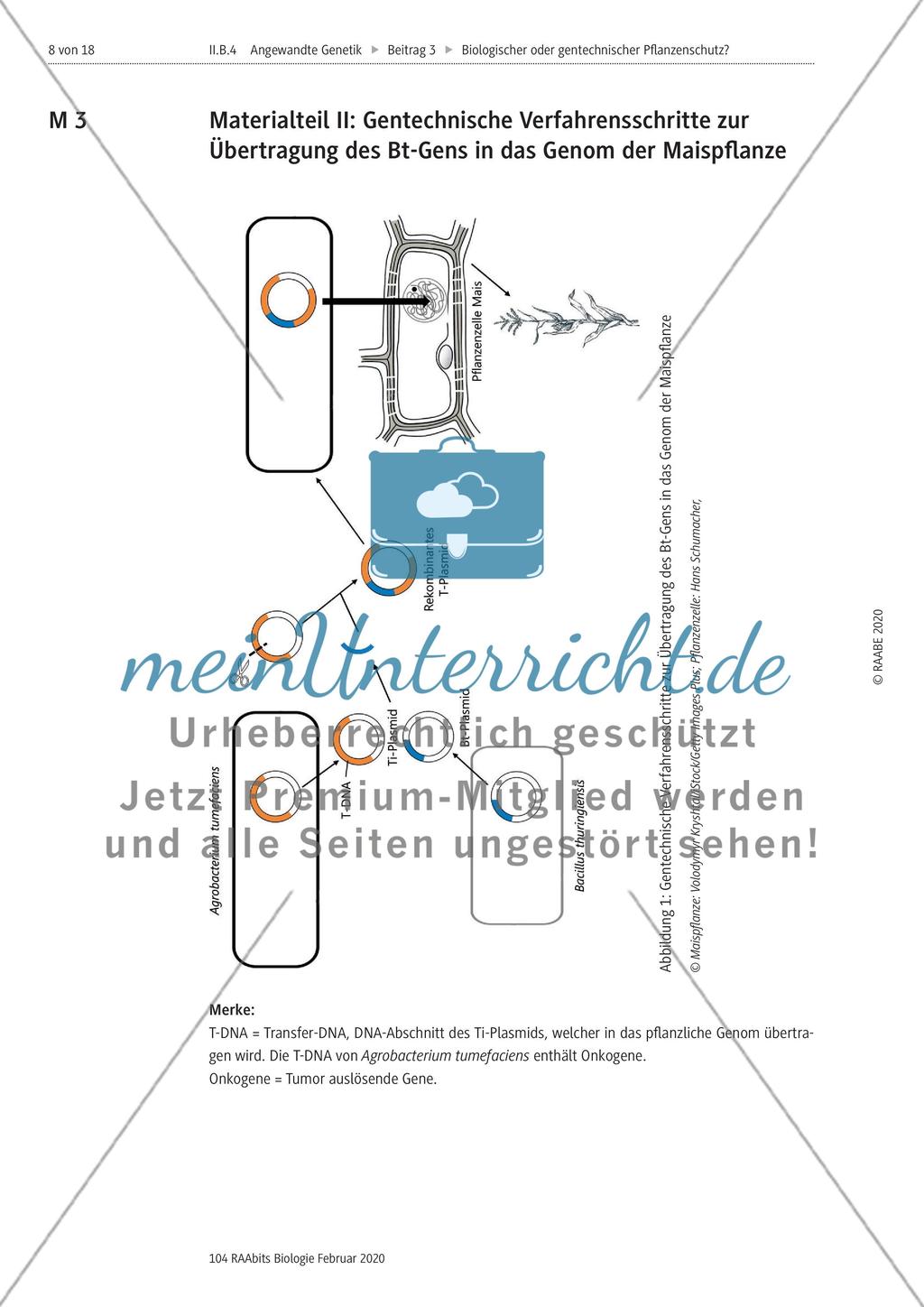 Biologischer oder gentechnischer Pflanzenschutz? Preview 8