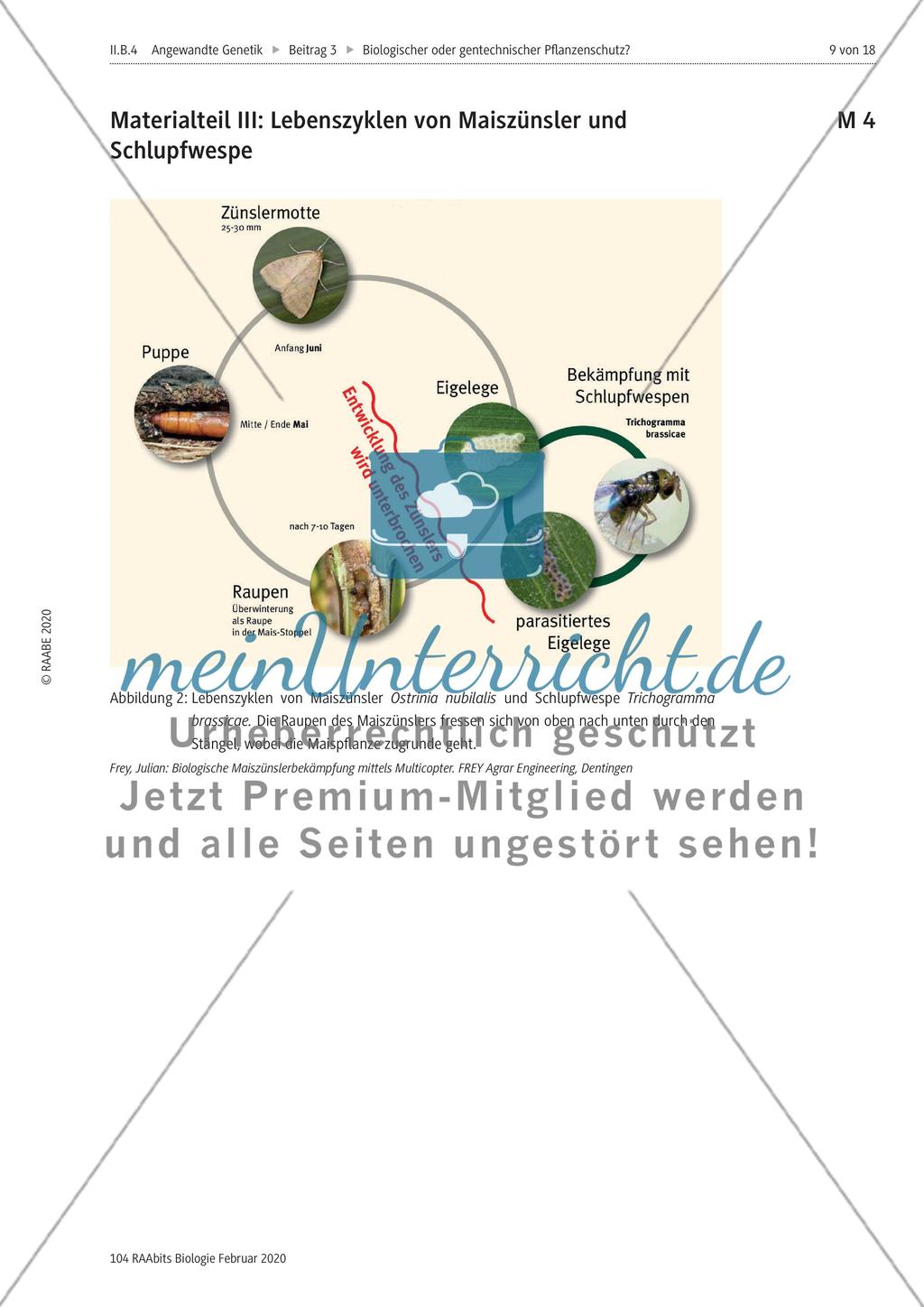 Biologischer oder gentechnischer Pflanzenschutz? Preview 9