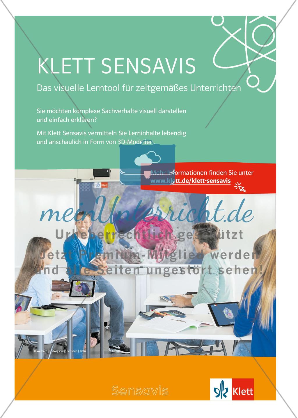 MINT Zirkel - Ausgabe 1, März 2020 Preview 11