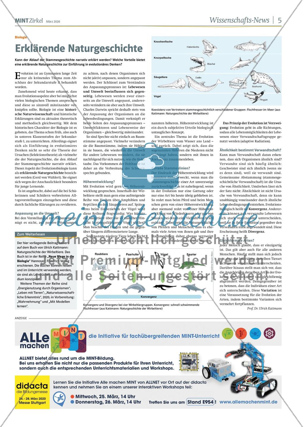 MINT Zirkel - Ausgabe 1, März 2020 Preview 5