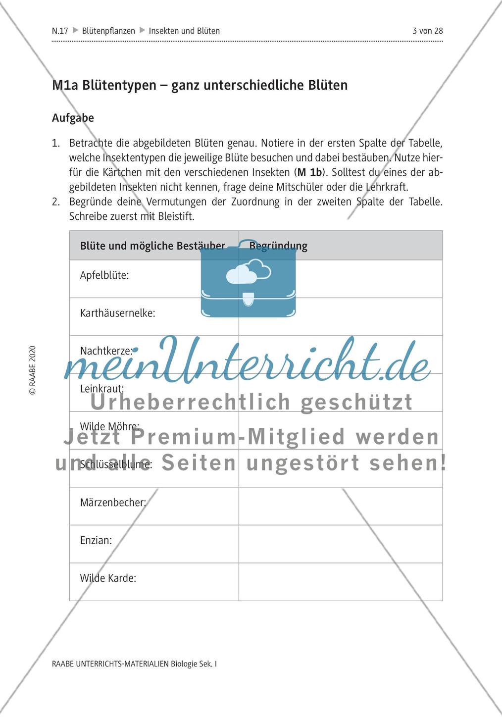 Insekten und Blüten: M1-M3 Preview 1
