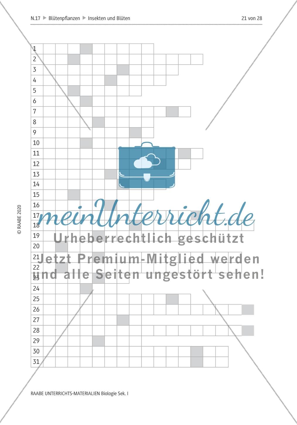 Insekten und Blüten: M4-M8 Preview 10