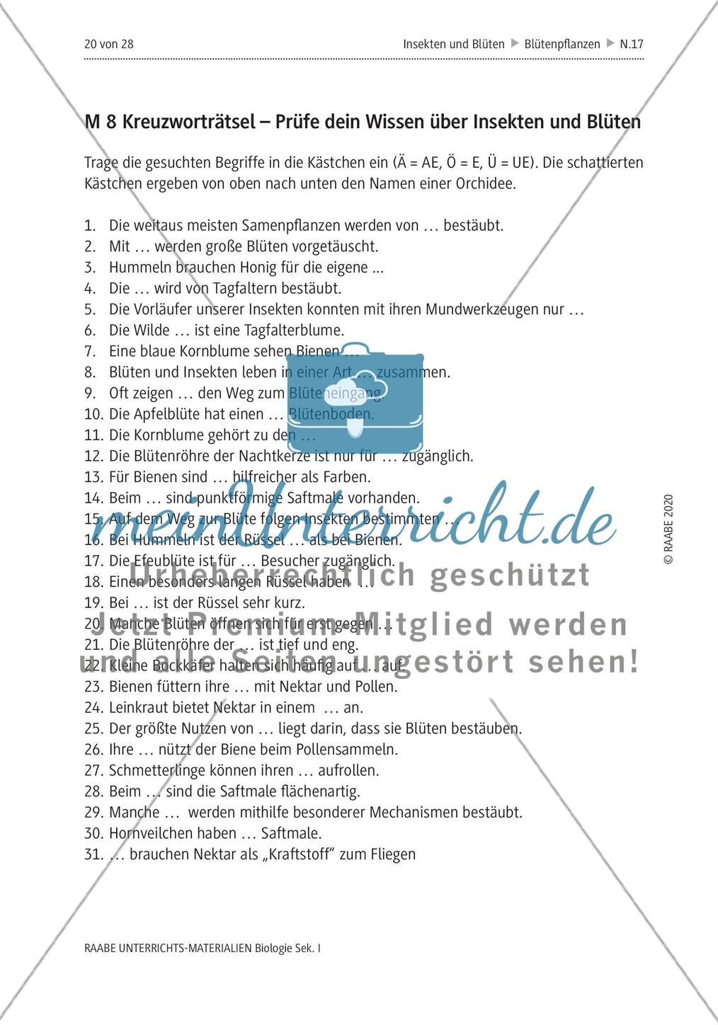 Insekten und Blüten: M4-M8 Preview 9