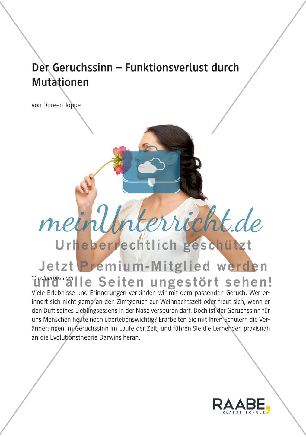 Der Geruchssinn Preview 1