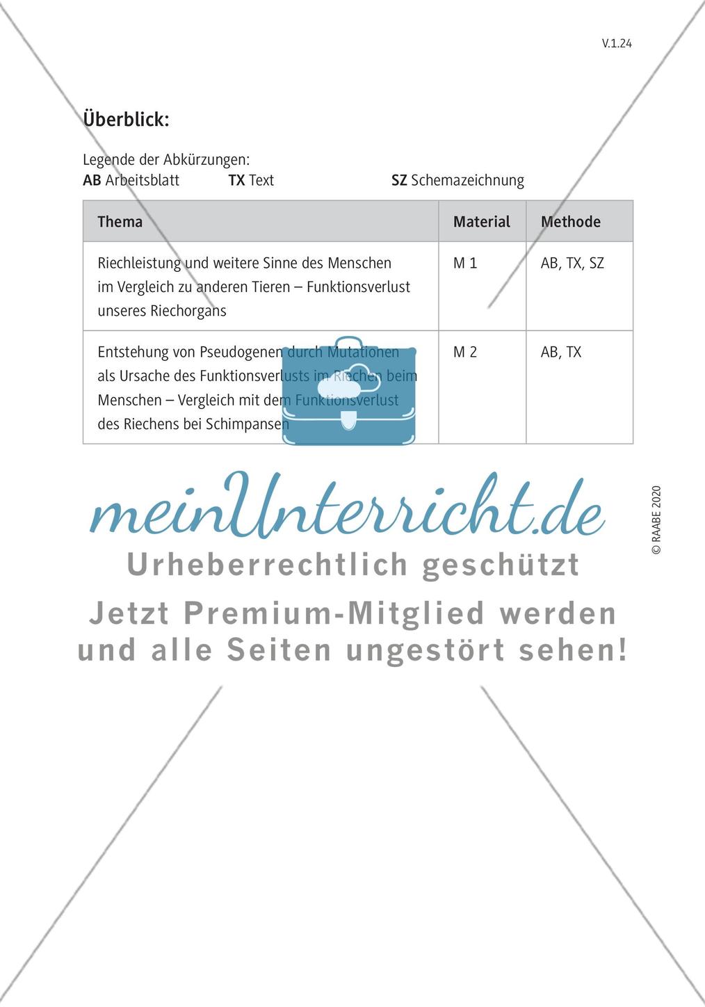 Der Geruchssinn Preview 4