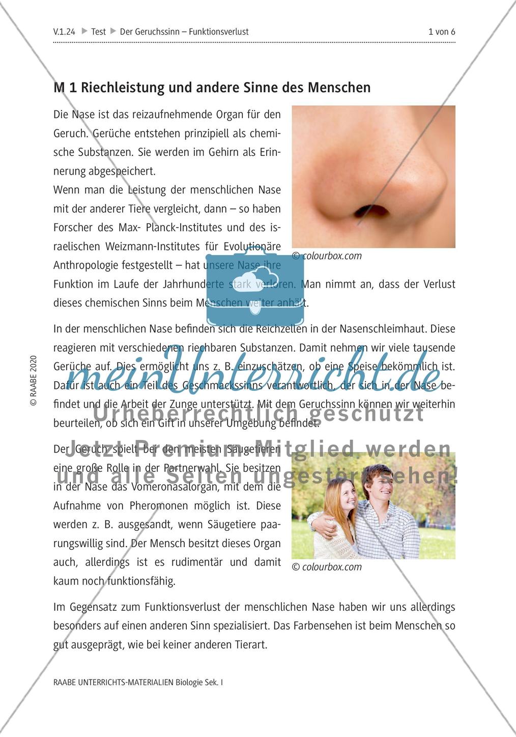 Der Geruchssinn Preview 5