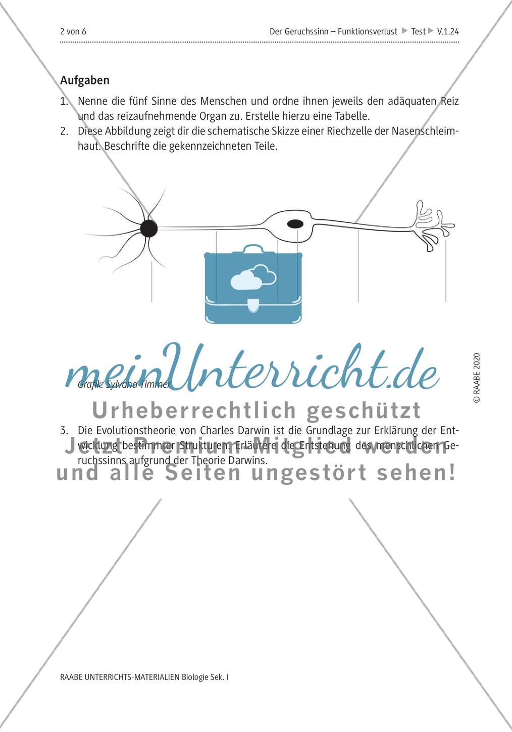 Der Geruchssinn Preview 6