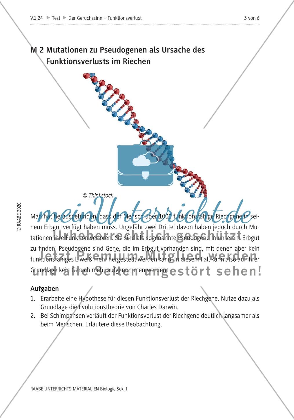 Der Geruchssinn Preview 7