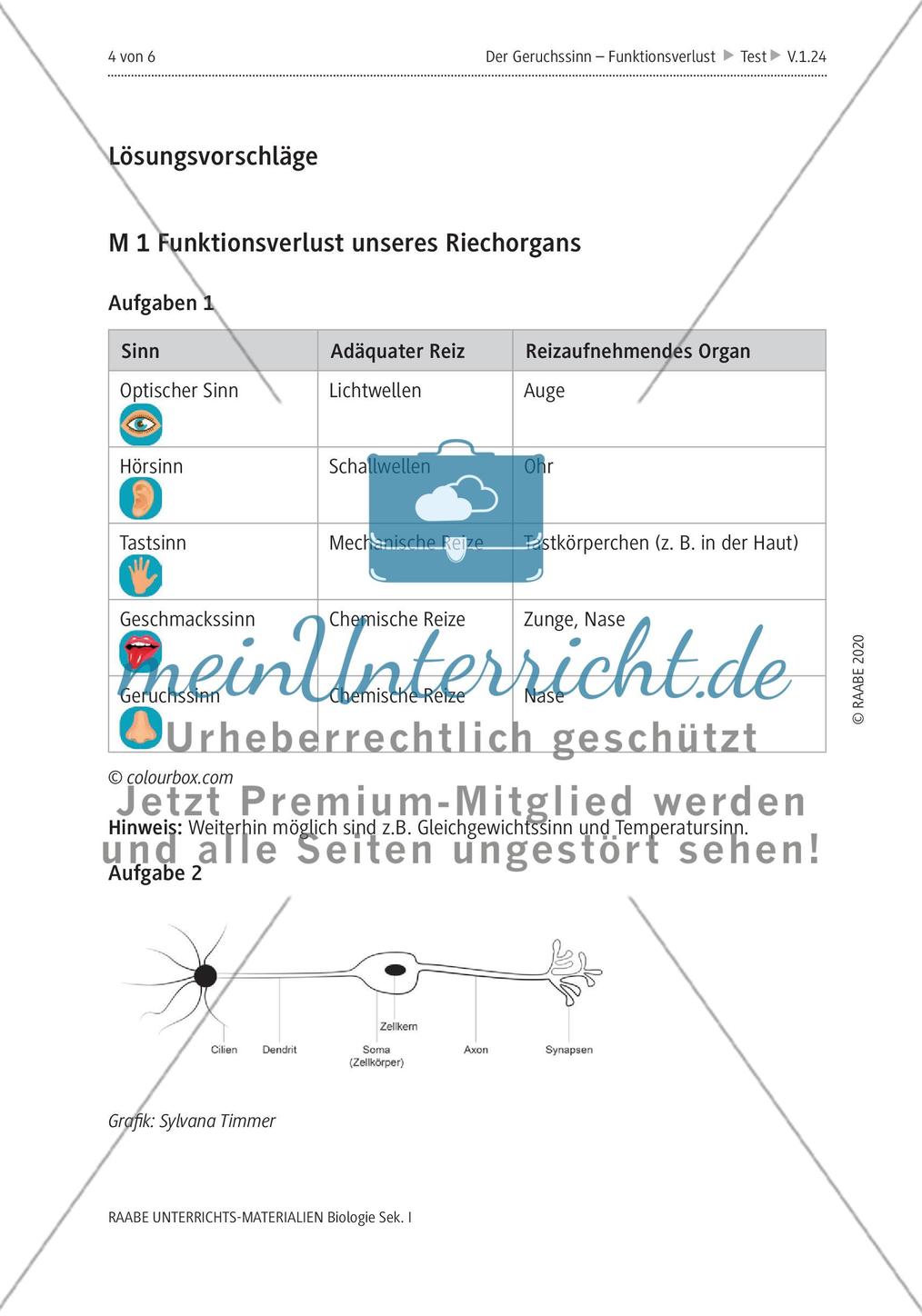 Der Geruchssinn Preview 8