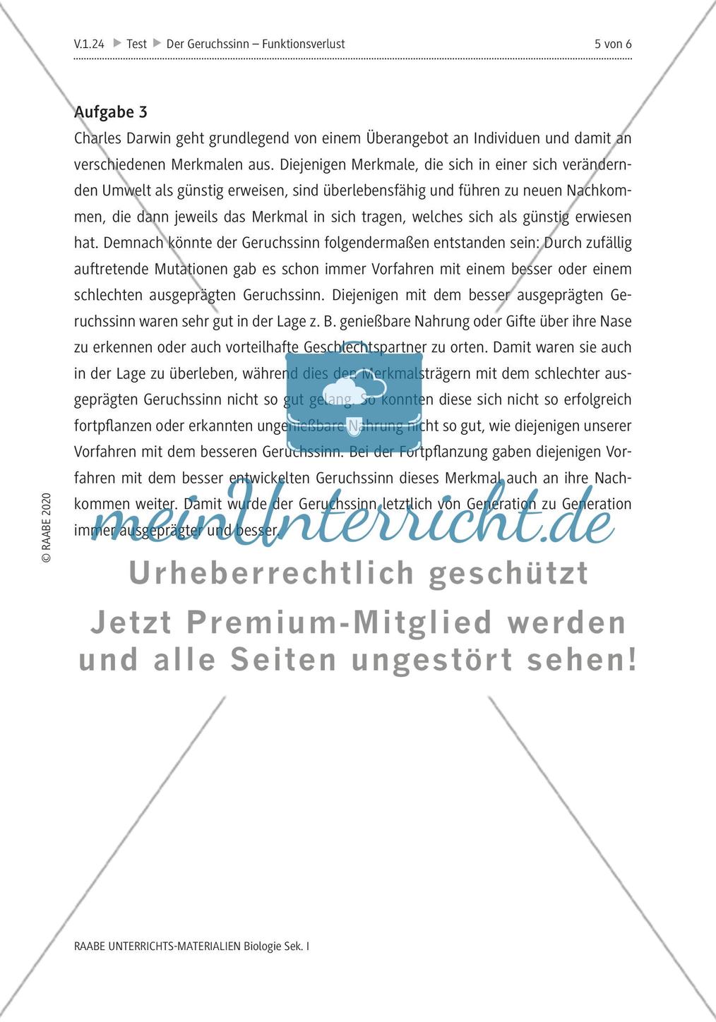 Der Geruchssinn Preview 9