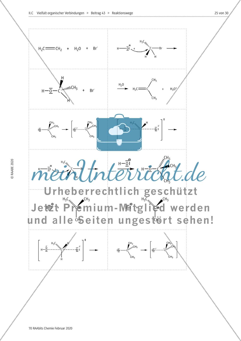 Die nucleophile Substitution und die Eliminierung Preview 3