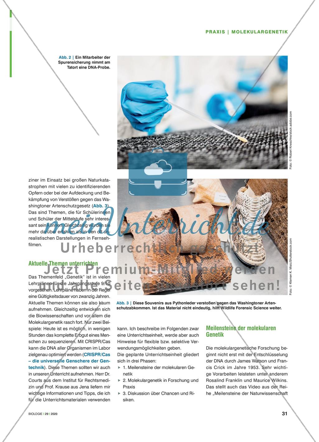Am Puls der Molekulargenetik - Unterrichtsmaterialien zu Molekulargenetik in Forschung und Praxis flexibel einsetzen Preview 2
