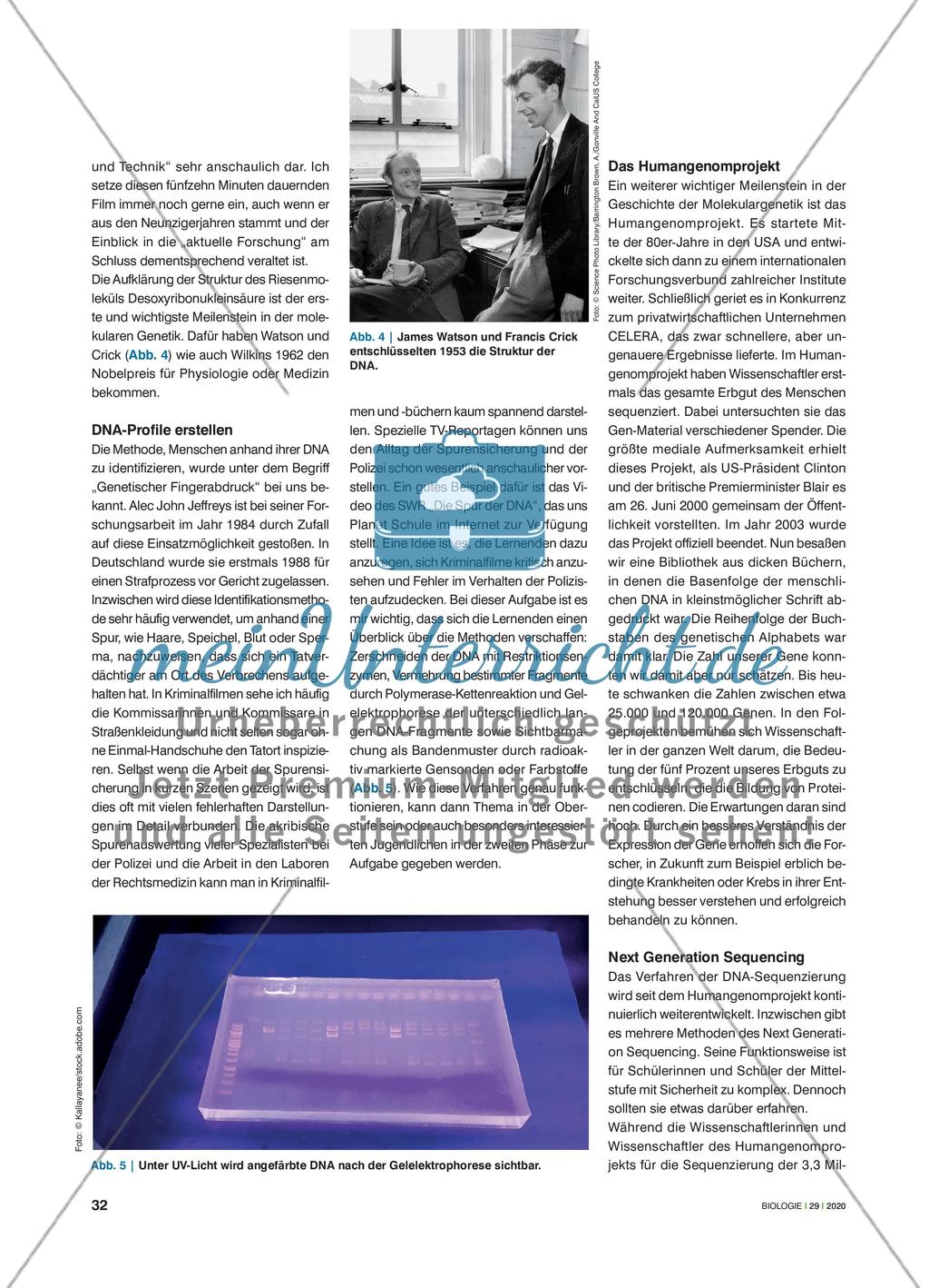 Am Puls der Molekulargenetik - Unterrichtsmaterialien zu Molekulargenetik in Forschung und Praxis flexibel einsetzen Preview 3