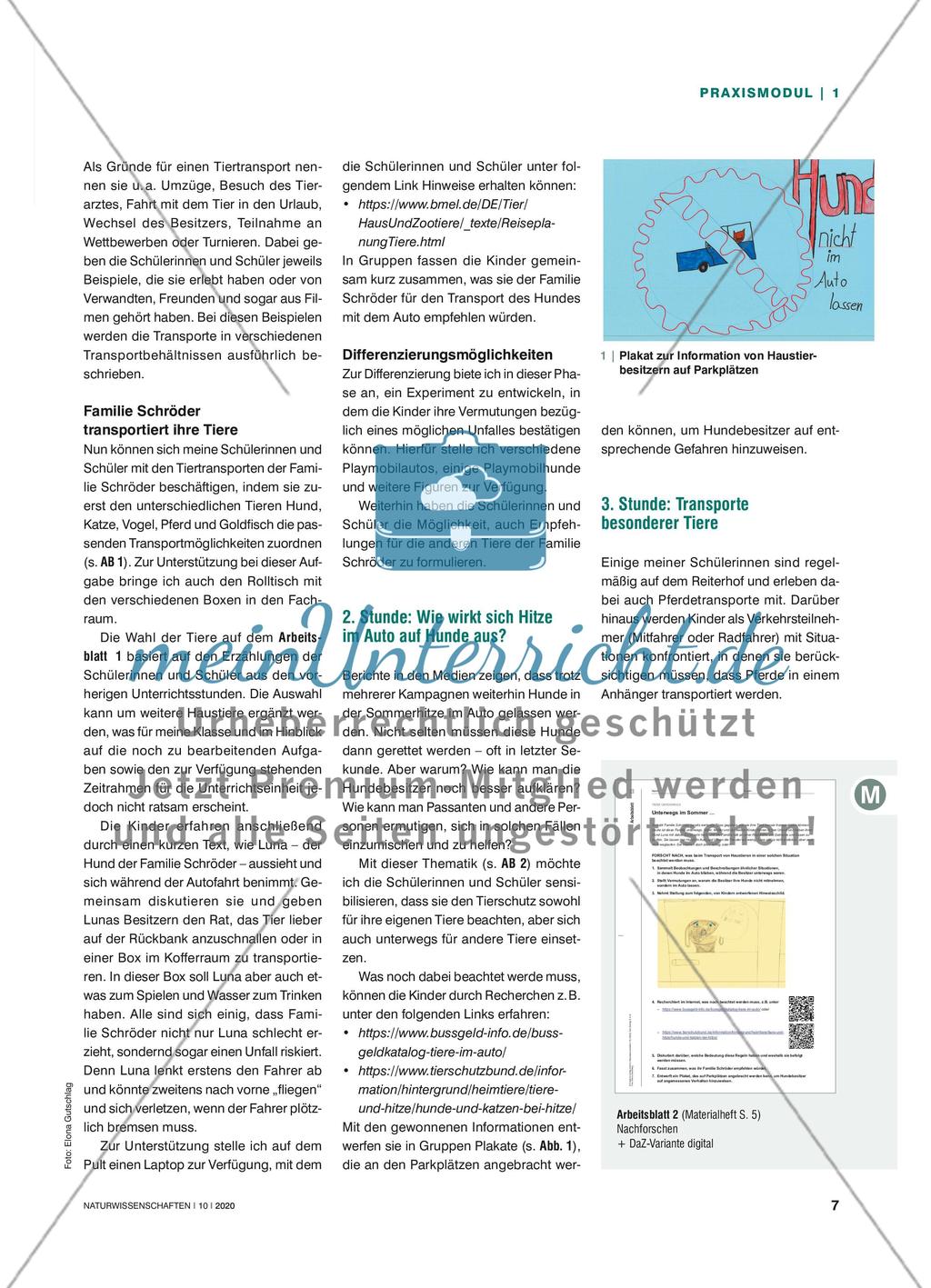 Tiere unterwegs - Verschiedene Arten von Tiertransporten kennenlernen und beurteilen Preview 2