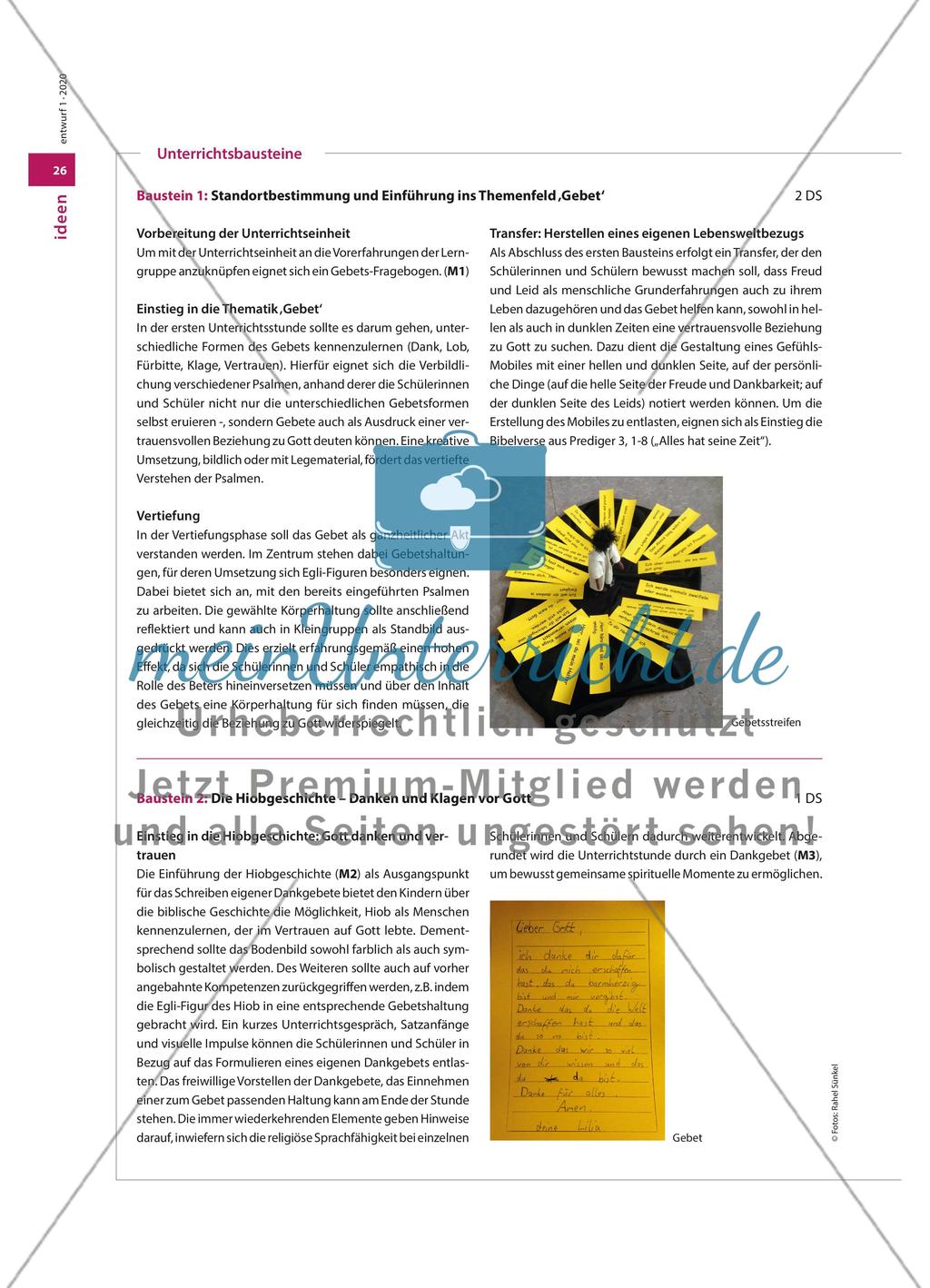 Das Buch Hiob in der Grundschule - Der Beitrag des Religionsunterrichts für die Begleitung von Kindern durch die Behandlung der Theodizee-Frage Preview 3