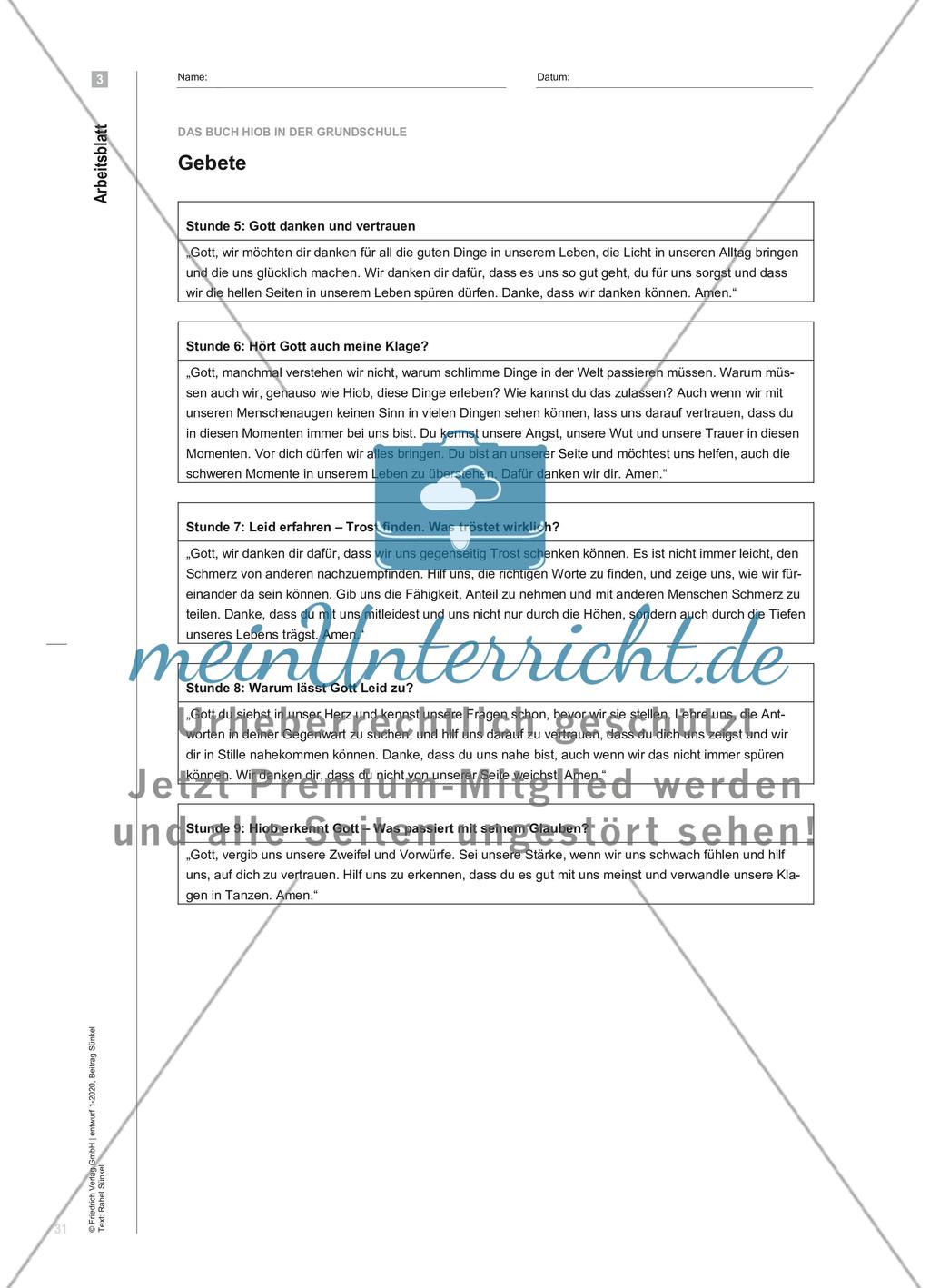 Das Buch Hiob in der Grundschule - Der Beitrag des Religionsunterrichts für die Begleitung von Kindern durch die Behandlung der Theodizee-Frage Preview 8
