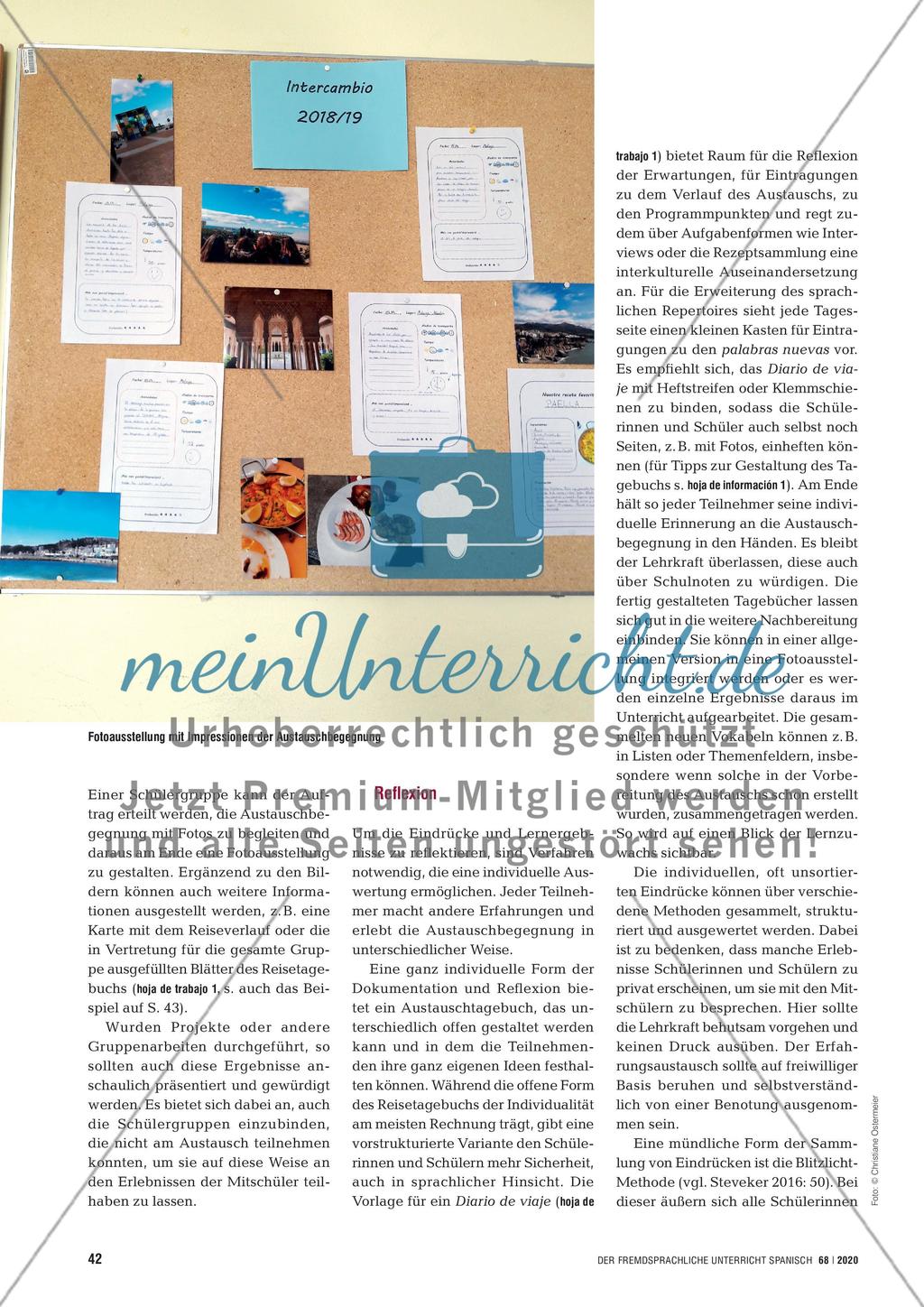 ¿Qué tal el intercambio? - Austauschbegegnungen dokumentieren, reflektieren und evaluieren Preview 2