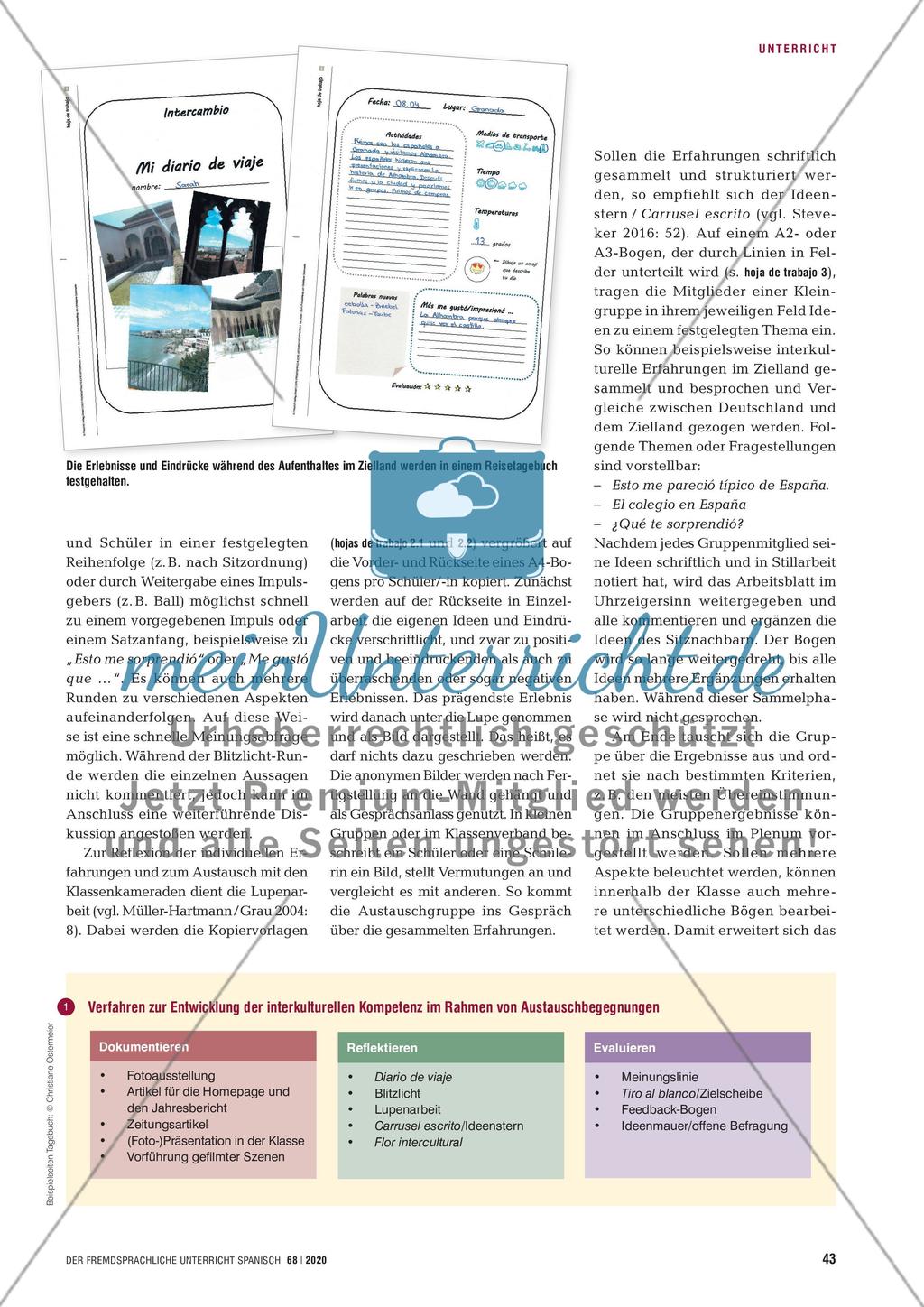 ¿Qué tal el intercambio? - Austauschbegegnungen dokumentieren, reflektieren und evaluieren Preview 3