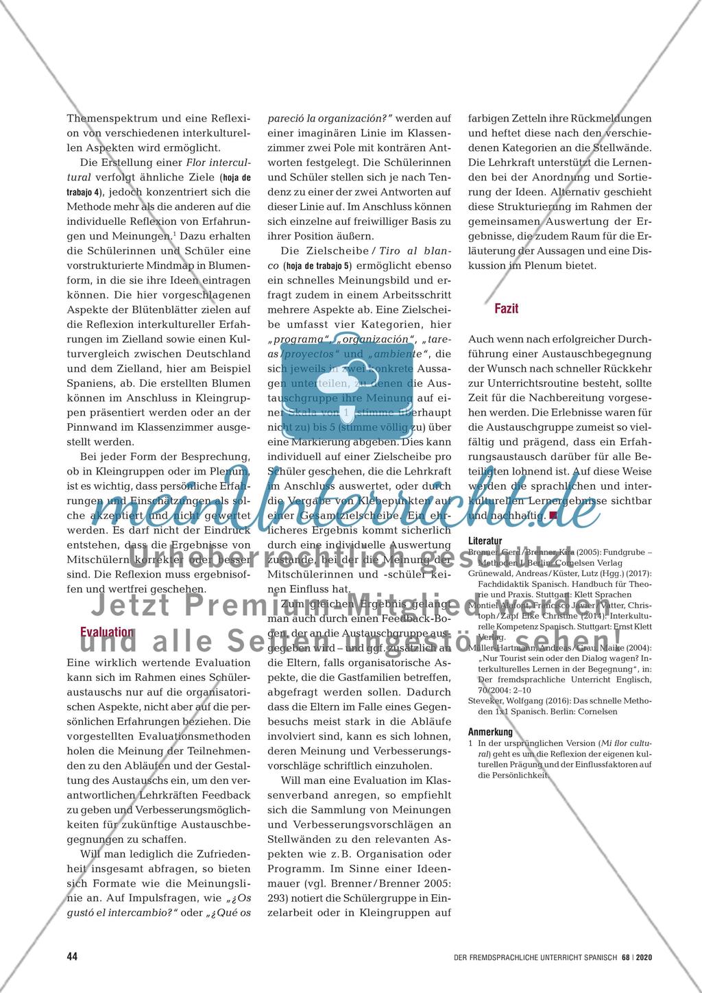 ¿Qué tal el intercambio? - Austauschbegegnungen dokumentieren, reflektieren und evaluieren Preview 4