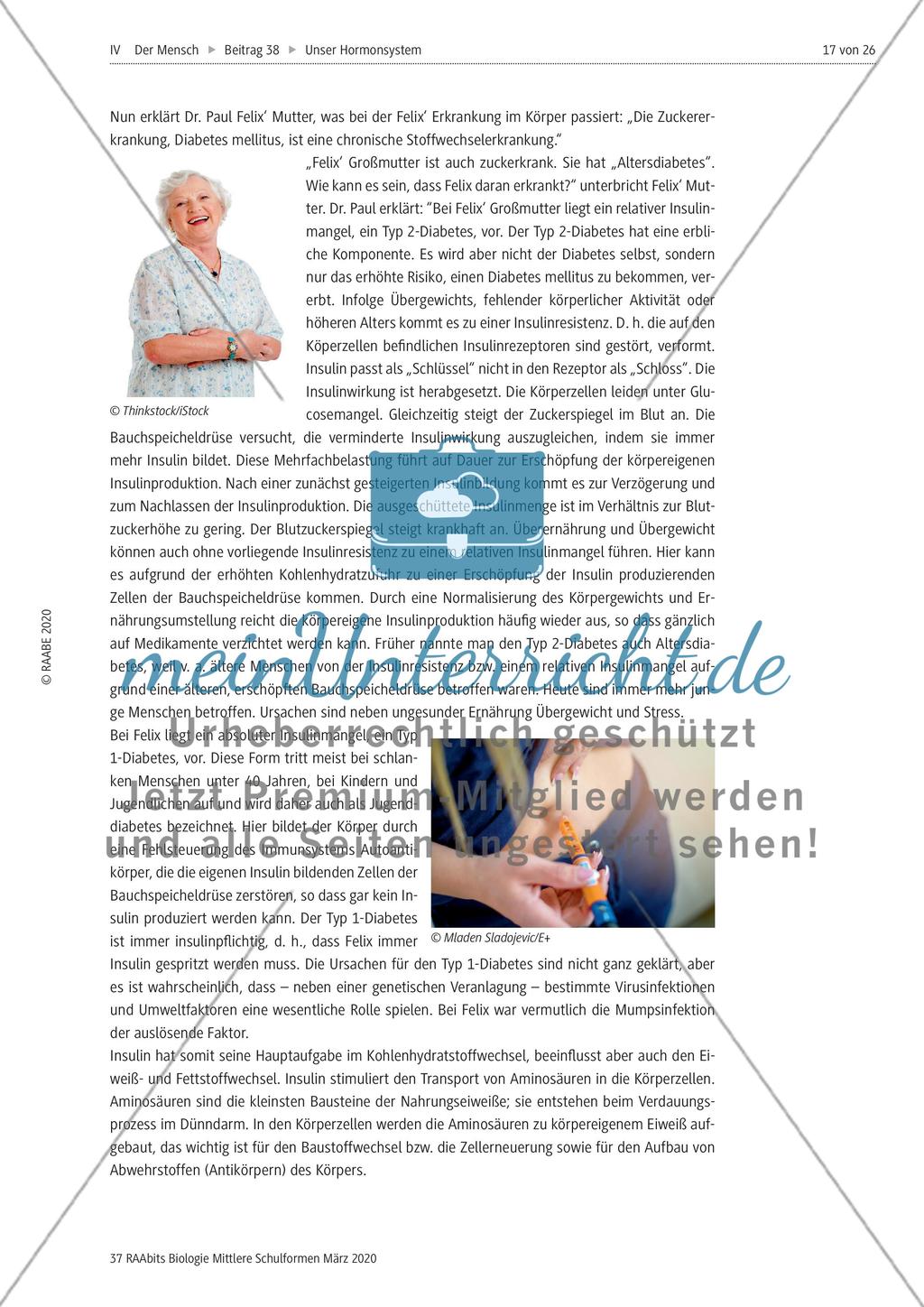 Insulin und Glucagon Preview 2