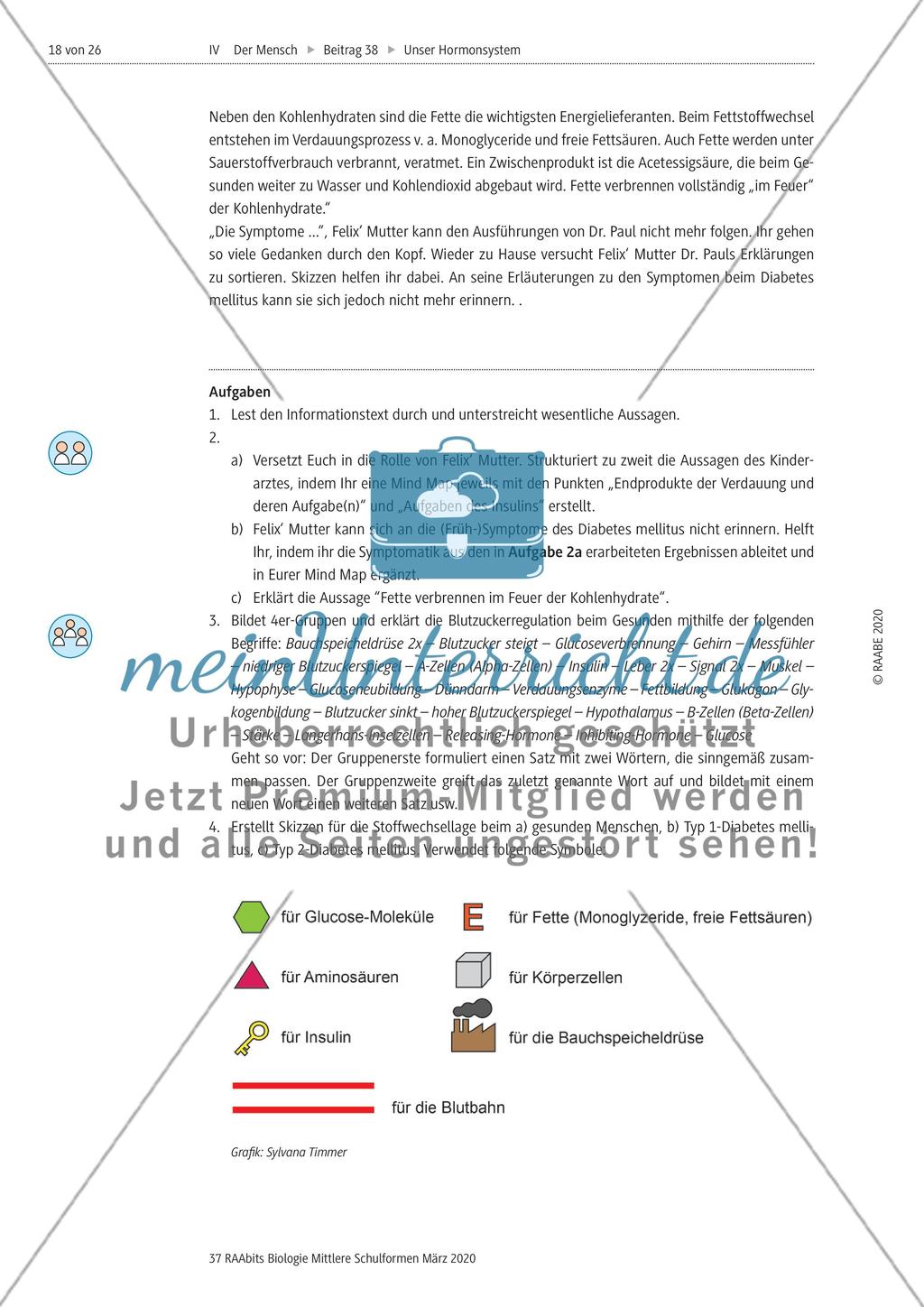 Insulin und Glucagon Preview 3