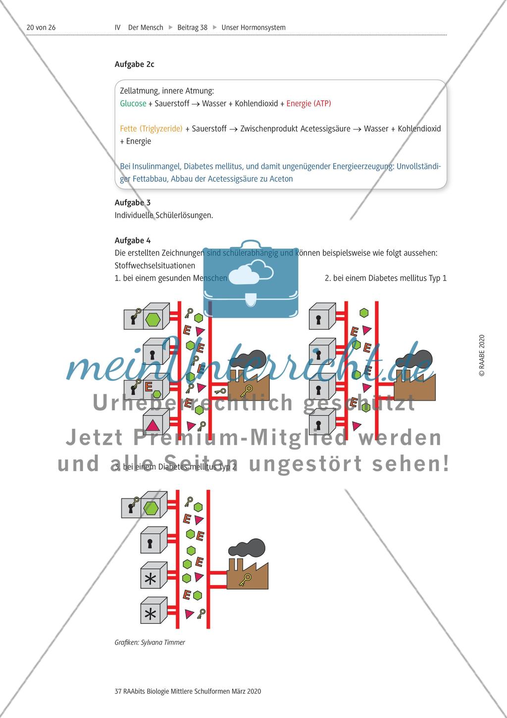 Insulin und Glucagon Preview 5