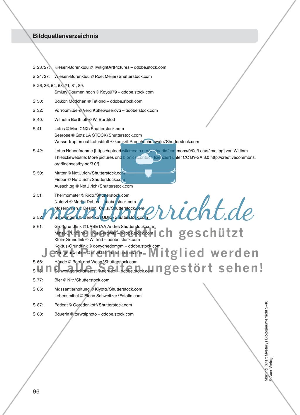 Herdenimmunität – Schutzimpfung gegen Masern Preview 10