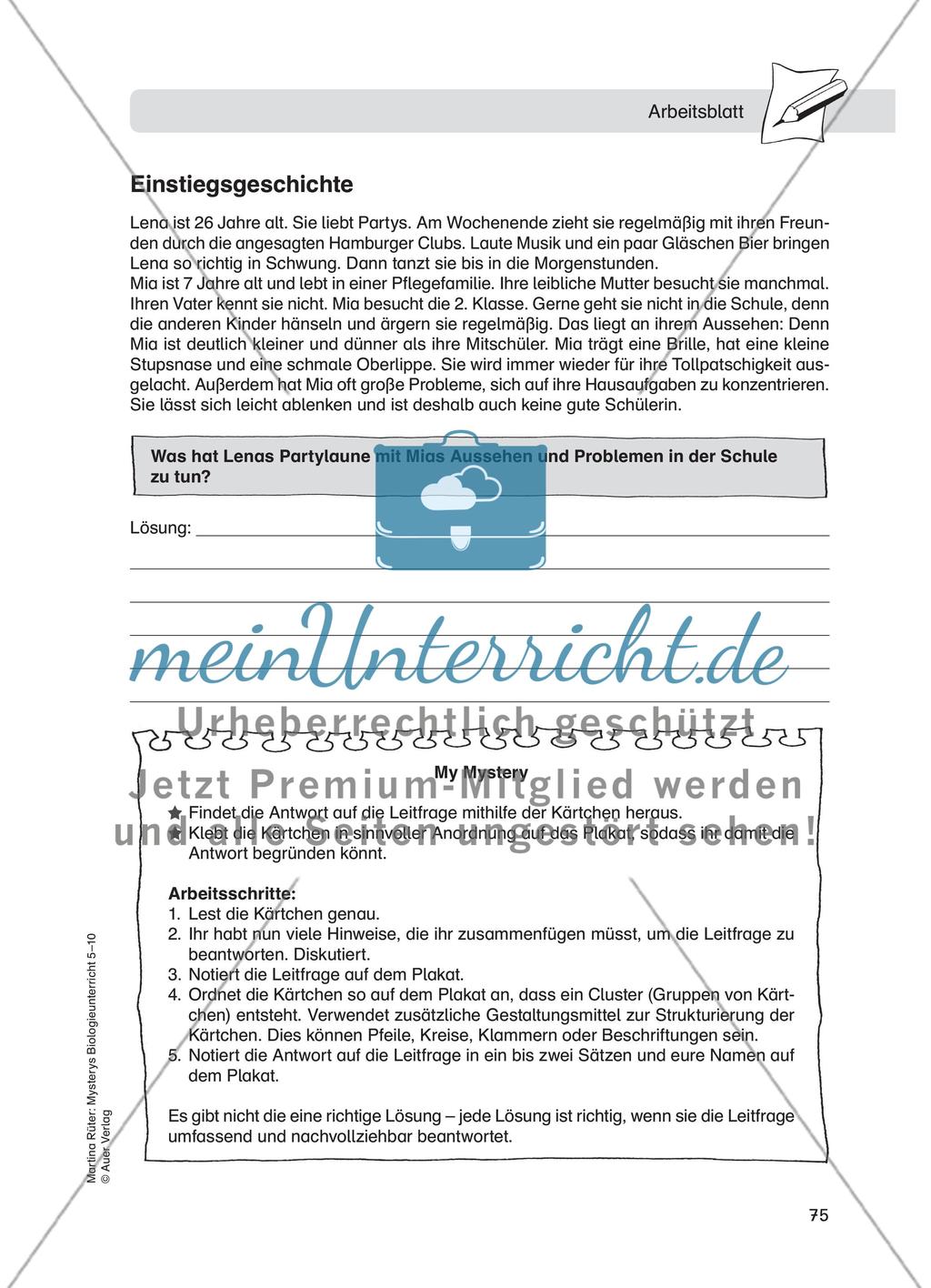 Alkoholmissbrauch – Fetales Alkoholsyndrom Preview 3