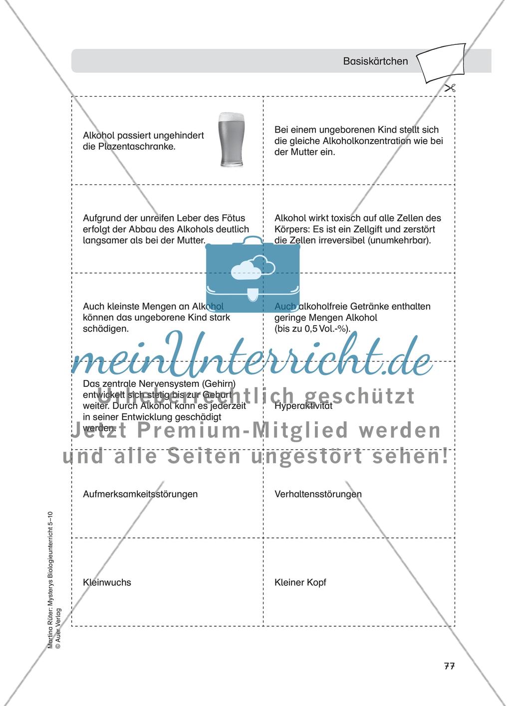 Alkoholmissbrauch – Fetales Alkoholsyndrom Preview 5