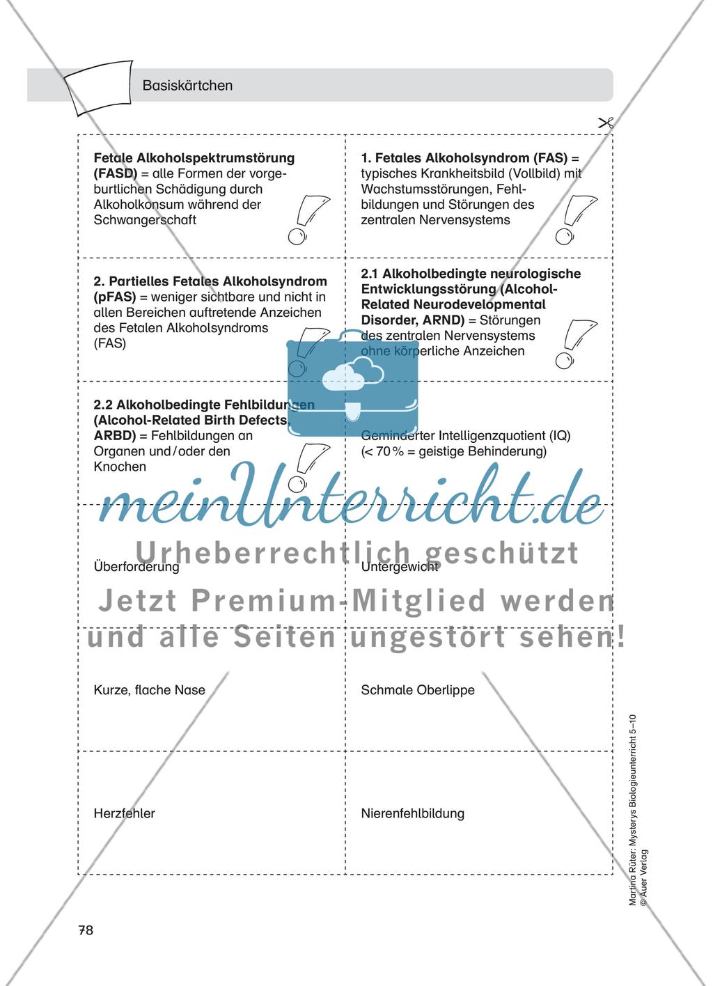 Alkoholmissbrauch – Fetales Alkoholsyndrom Preview 6