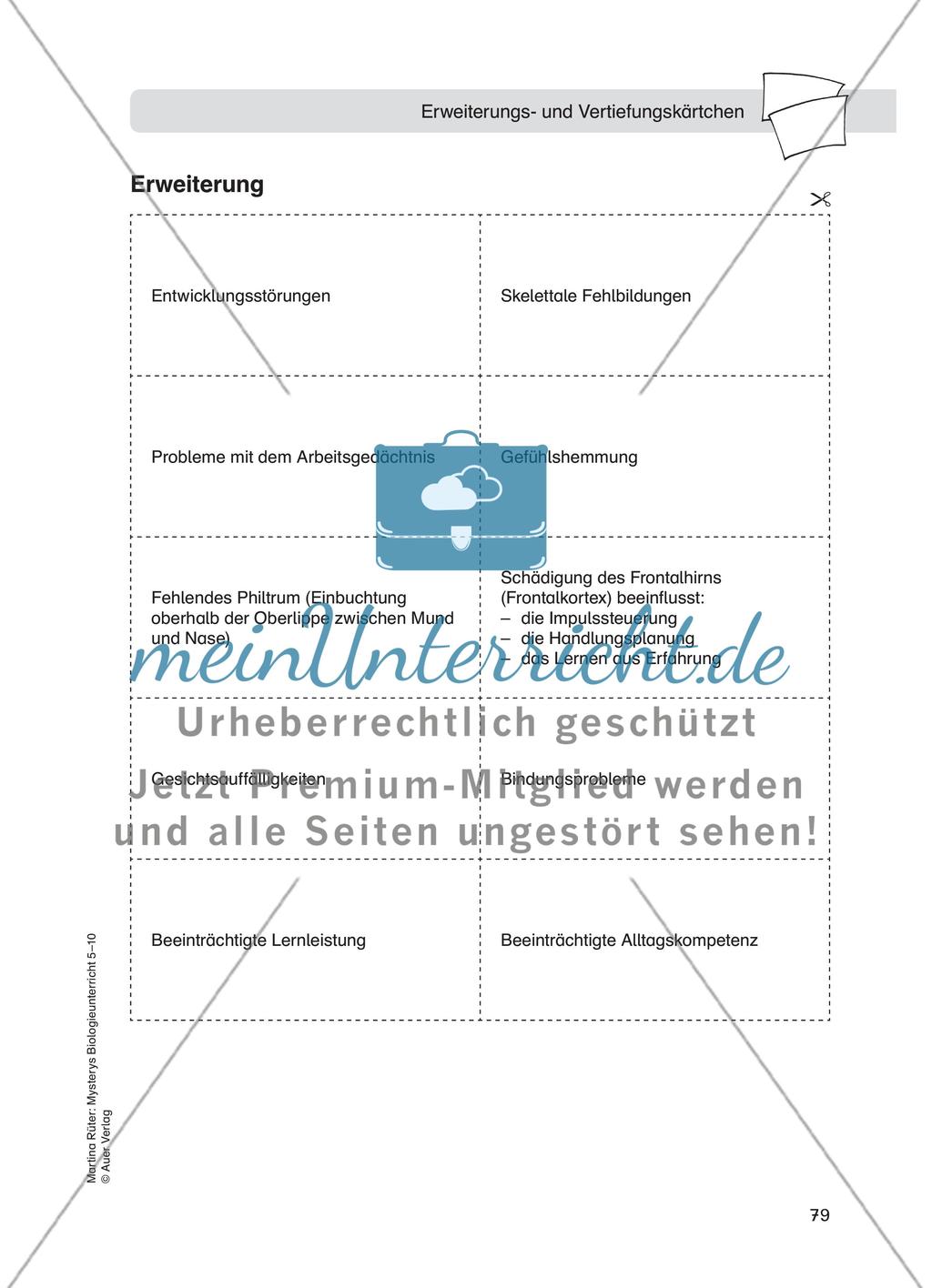 Alkoholmissbrauch – Fetales Alkoholsyndrom Preview 7