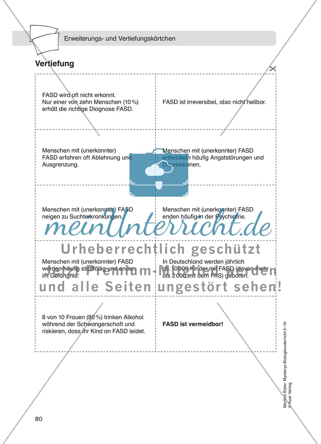 Alkoholmissbrauch – Fetales Alkoholsyndrom Preview 8