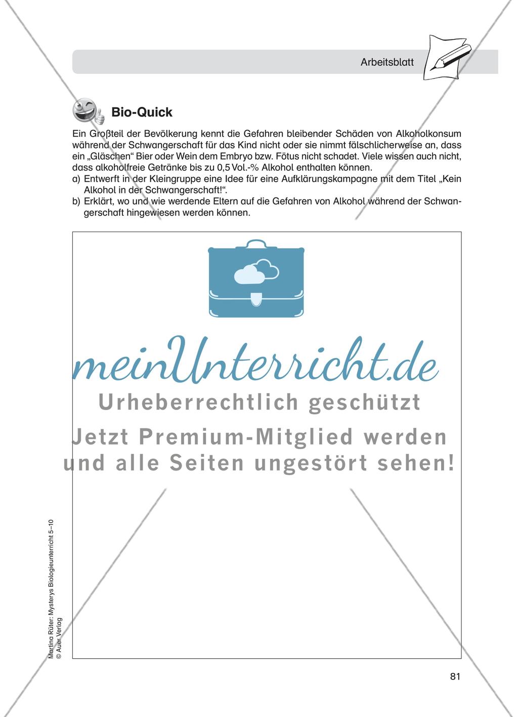 Alkoholmissbrauch – Fetales Alkoholsyndrom Preview 9